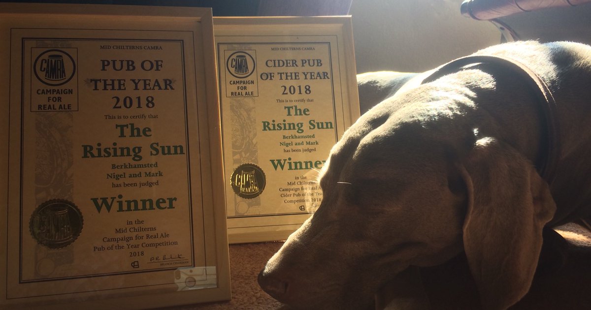 TheRiserBerko's tweet photo. Just another day for Willow the Weimeraner!
#PuboftheYear2018
&
#CiderPuboftheYear2018 #weimeraners #weimeranersofinstagram #beer #cider #camraMid-Chilterns #camraofficial #pub #supportlocal #supportPubs
@MidChiltYMCAMRA @CAMRA_Official @RogerProtzBeer https://t.co/InfWbVz8Ly