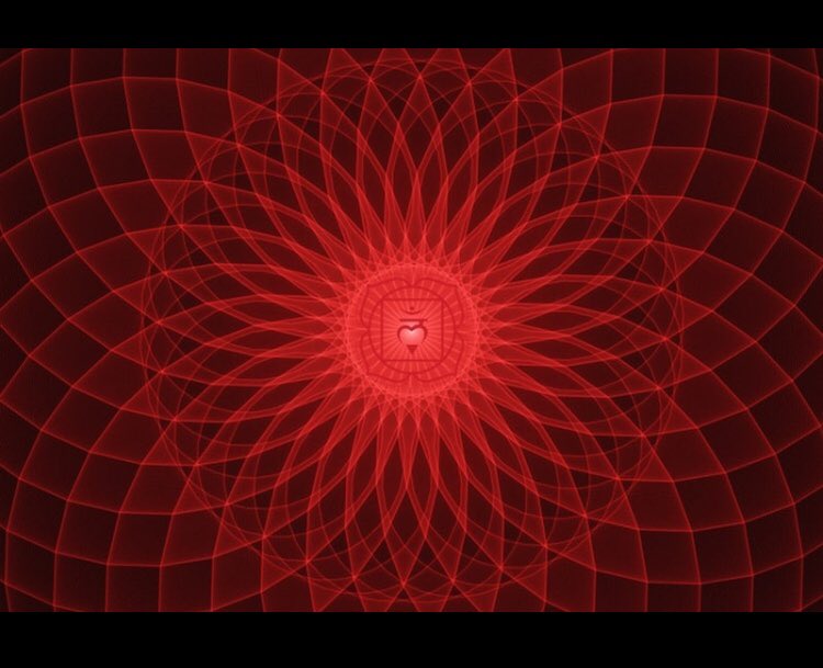 no_deception's tweet image. I am grounded. I am strong. I am connected with Mother Earth. I am thriving. I am secure. I am self-nurtured. 🔑 #RedChakra #awareness #solid