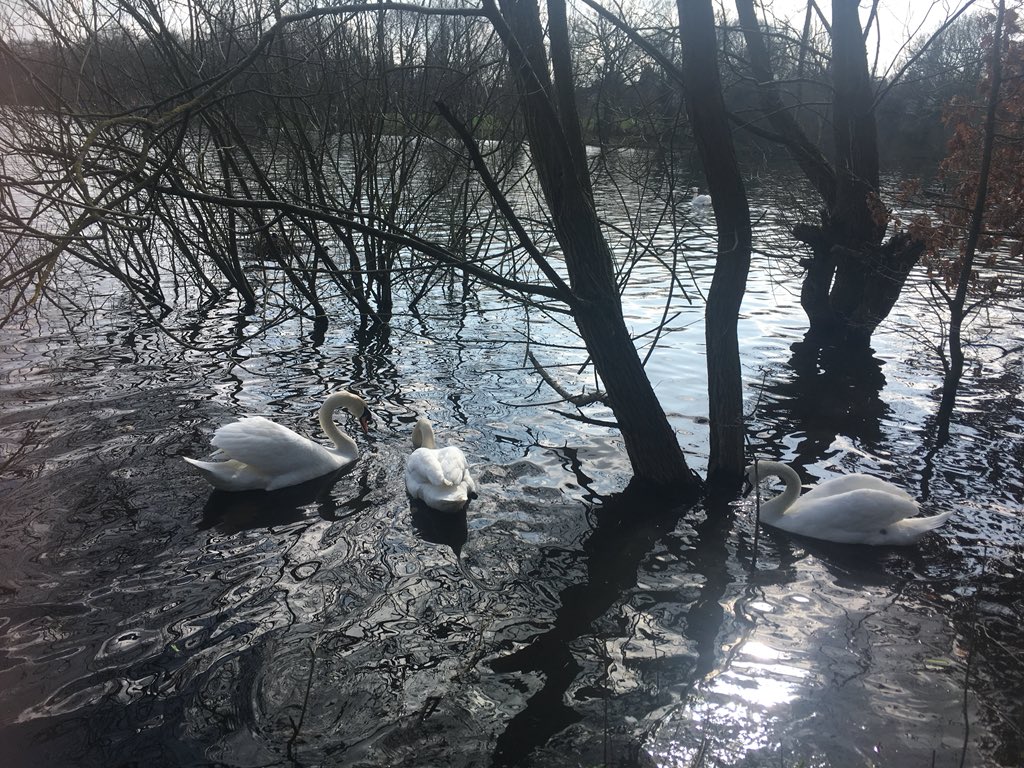 LadywoodWMP's tweet photo. Team out on foot engaging with the public down at the reservoir who are making the most of the beautiful weather ...... families out feeding the ducks and teaching kids to ride their bike #sunsout #smilesout https://t.co/siPe4dUmI8