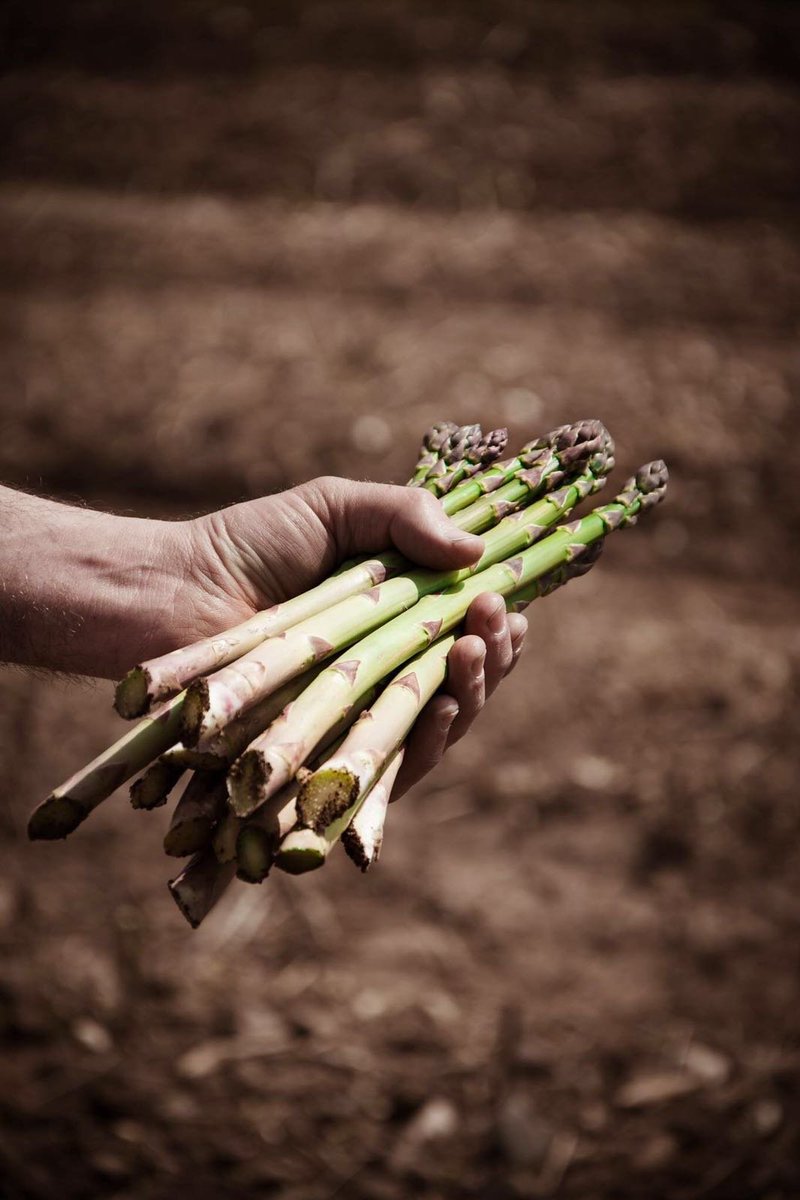 HillersFarmShop's tweet photo. #cutfreshdaily https://t.co/ISPGfc1yI6
