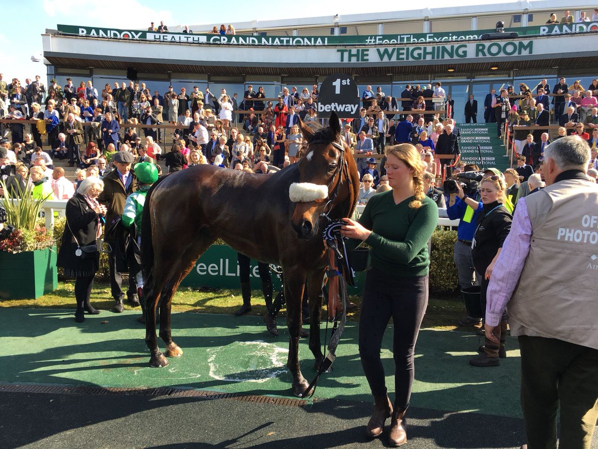AintreeRaces's tweet photo. "Take the picture from my best side, please..." 📸😉
#ThomasPatrick #GrandNational #TheWorldIsWatching https://t.co/ajYLPte812