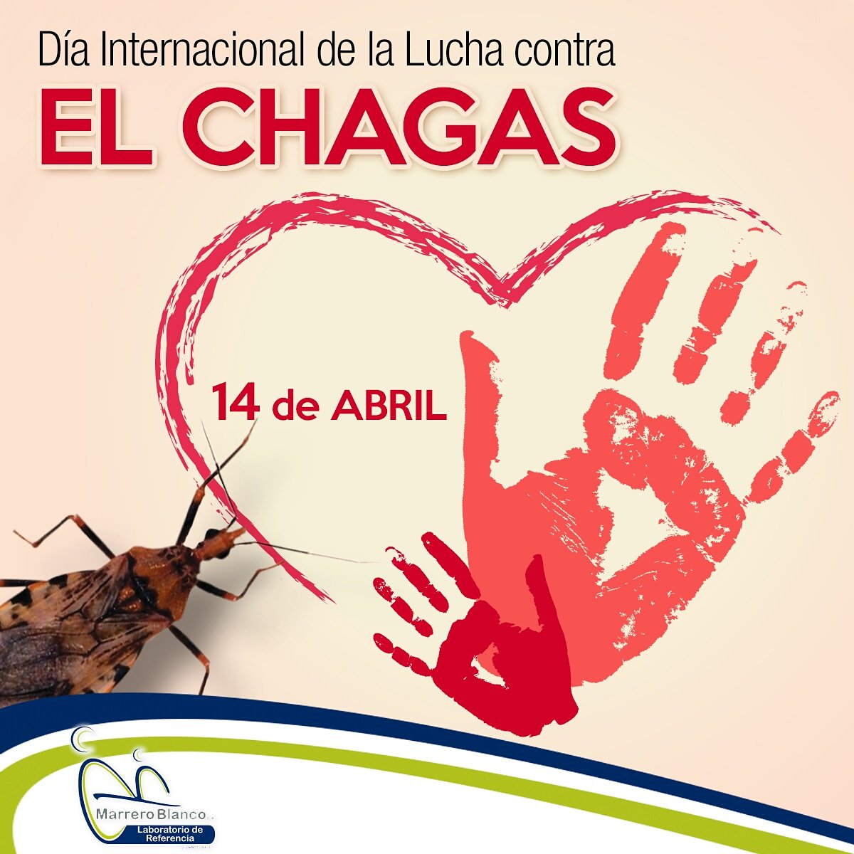 LRMarreroBlanco's tweet photo. Hoy se celebra el #DíaMundialDelMalDeChagas para concienciar sobre su detección y tratamiento, ya que con un diagnóstico temprano puede ser curada o, según el momento, controlada. De lo contrario, causa problemas gástricos o cardíacos que pueden acabar con la muerte del portador https://t.co/MwWx1MTq4V