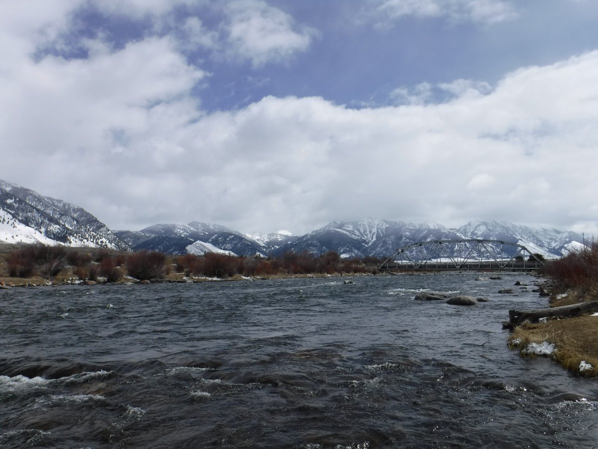 float_river's tweet image. A dynamic and wonderful day on the Madison...#FlyFishing