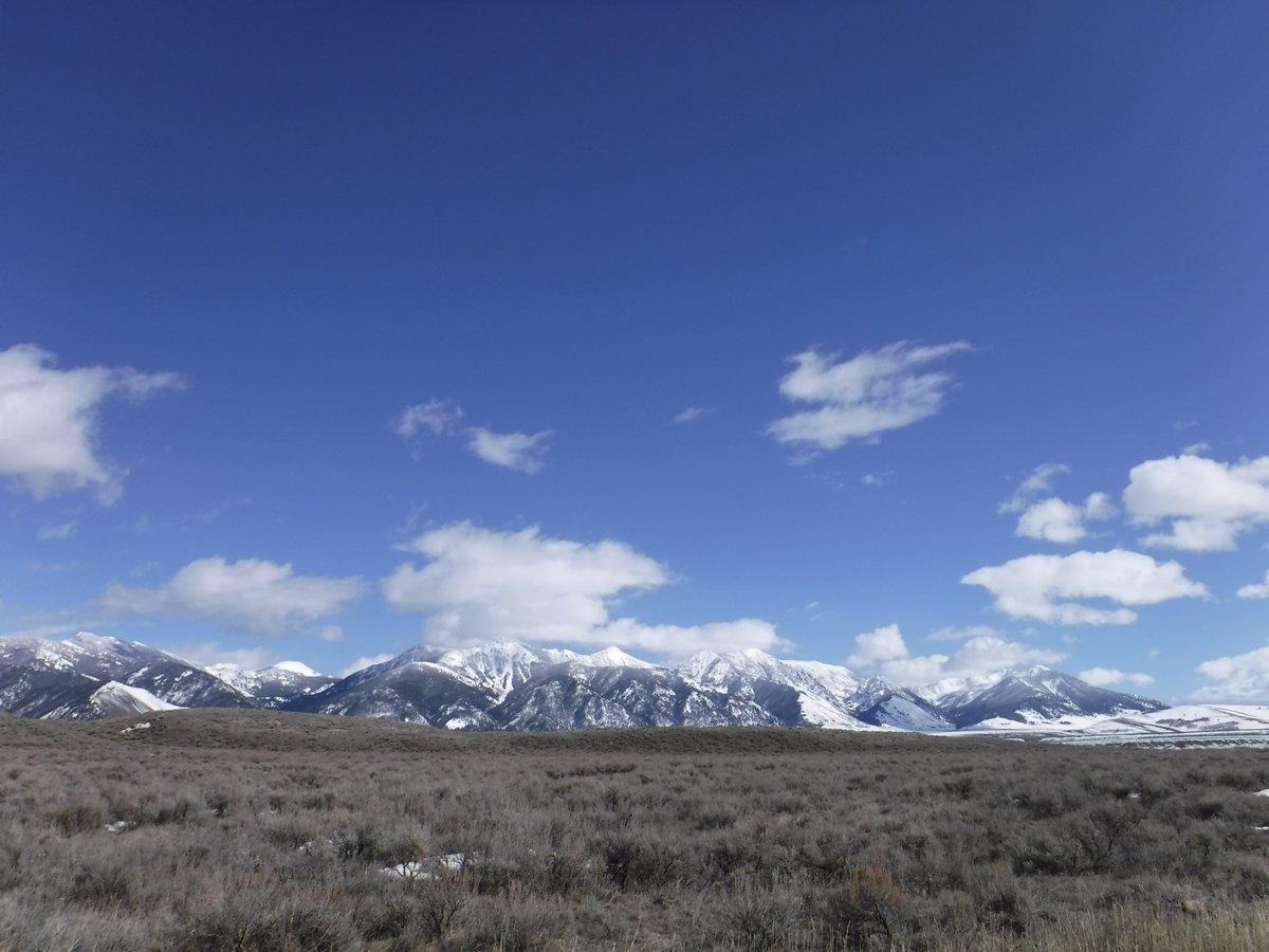 float_river's tweet image. A dynamic and wonderful day on the Madison...#FlyFishing