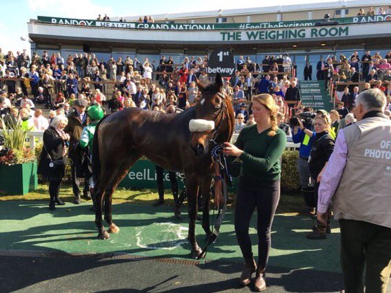 nikidoog's tweet photo. What a looker and what an improver @tflacey @dickyjohnson77
#ThomasPatrick https://t.co/dHPfF3mpJz