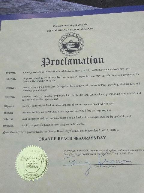 alabamacoastal's tweet image. Very honored to celebrate @cityorangebeach Seagrass Day with the Islands of Perdido Foundation (islandsofperdido.org) and @cca_alabama #Proclamation #CreateACleanWaterFuture #seafood #jobs #ecotourism