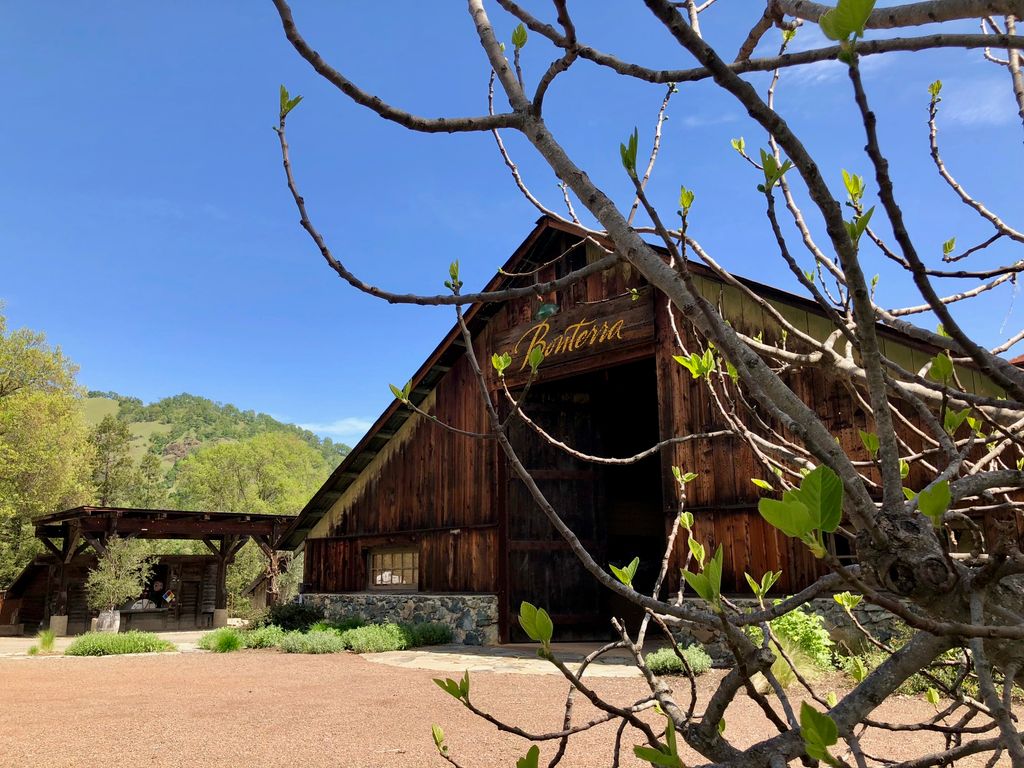 New life is springing up all over the ranch! Today is a beautiful day to be grateful. #thetimeisnow