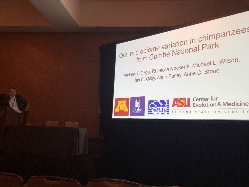 mitoPR's tweet photo. And now in the Omics session @ATOzga talks about the evolution of the oral microbiome in chimps. Important questions: Do chimps have the same oral pathogens as humans? Do chimps have enterotype clusters in their oral microbiota? @StoneLab_ASU #StoneLabRepresent #AAPA2018 https://t.co/jA1kRdR4Se