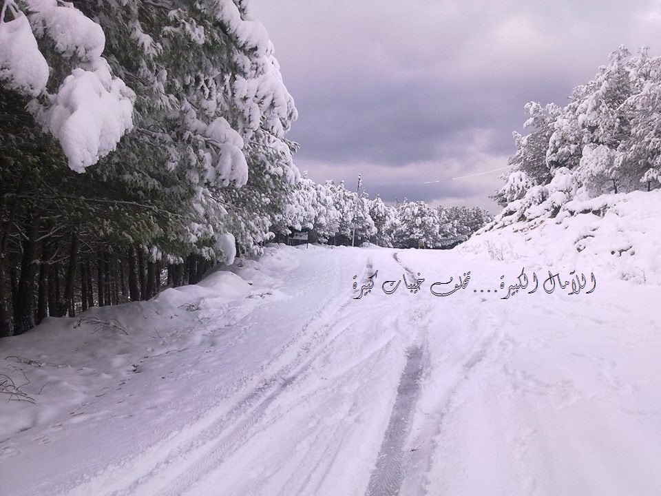 basemebraheem1's tweet image. مسا الخير