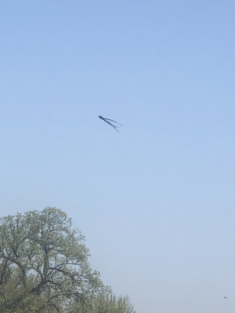 writeontopic's tweet image. 