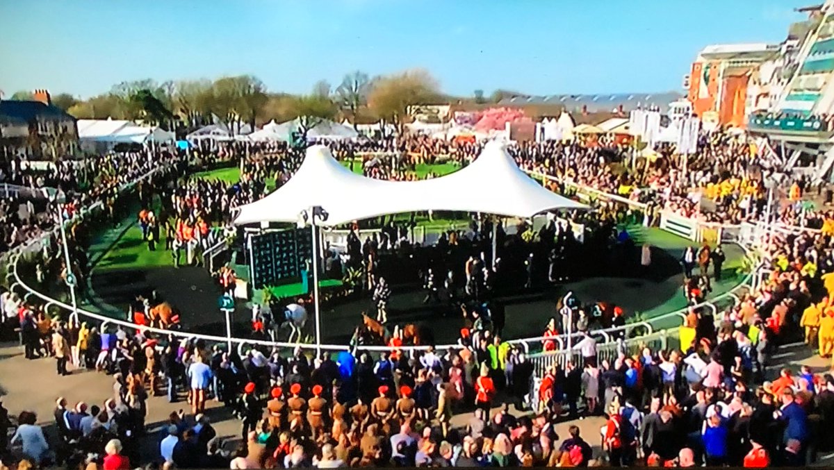 newlandfarm's tweet photo. Get round safe everyone #GrandNational2018 #Agnational https://t.co/yqrUtlVOOU