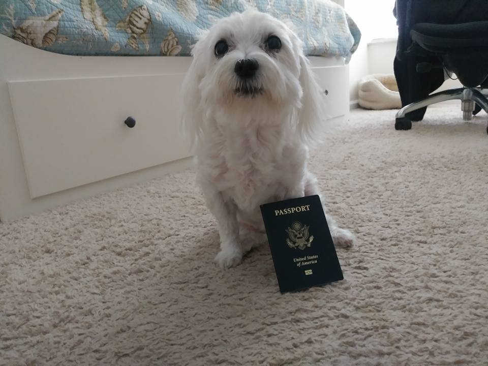 Hank Epton tweet media