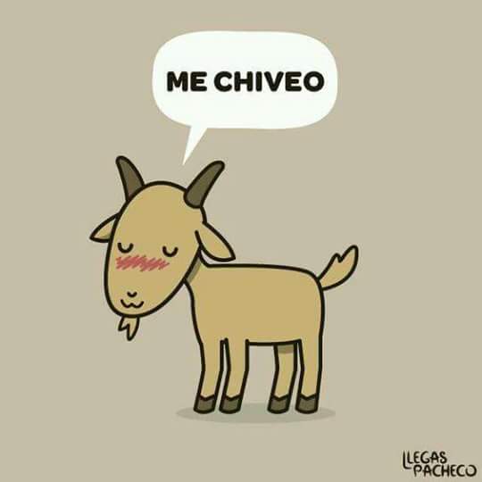 ruth_zoe's tweet photo. #superpodermediocre siempre... https://t.co/fls6zukHBX