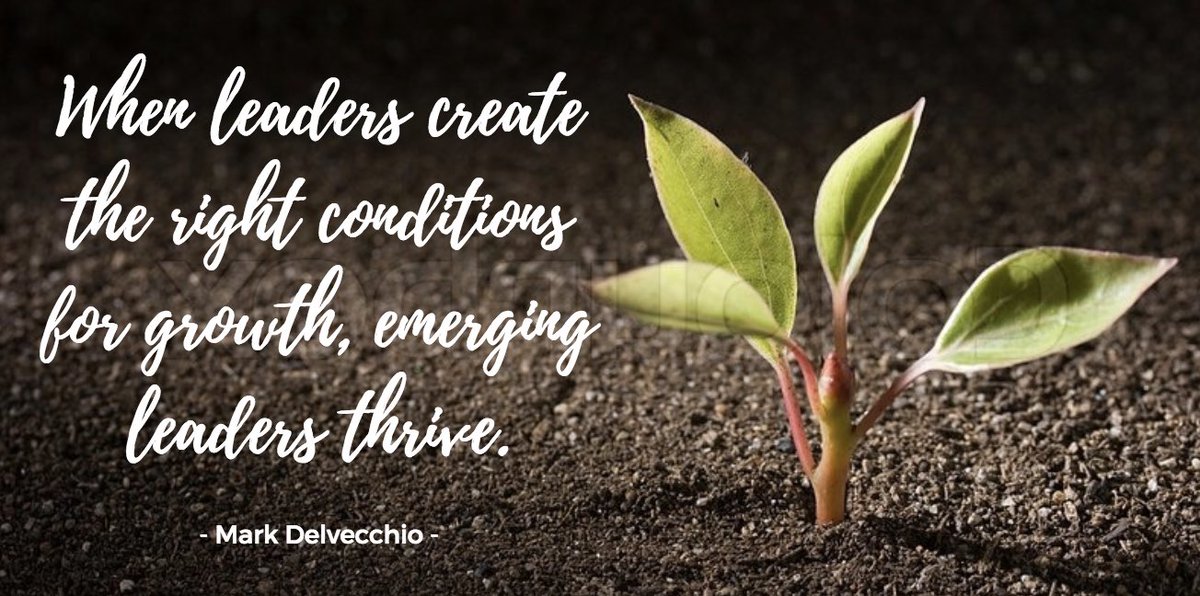 #leadershipmatters #LeadershipDevelopment #growthmindset