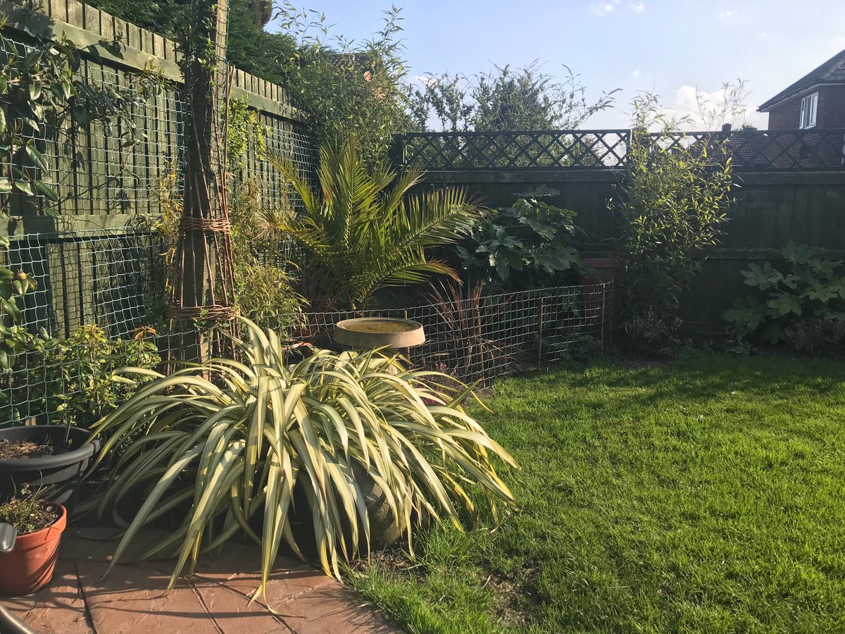 I would normally be asleep on the sofa by now, popping pain killers and praying for the agony to end.
Instead, in taking in the sunshine and reading a book, feeling amazing and loving life.
Thank you Niki <a href="/chesterhealth/">Niki Davies 💛💙🇺🇦</a> 
Thank you #CBD oil
F**k you #Fibromyalgia