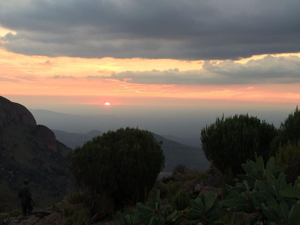 MelodyMiyaVibe's tweet image. Sunset View #LiveYourWild Marekele SA National Park @SANParks