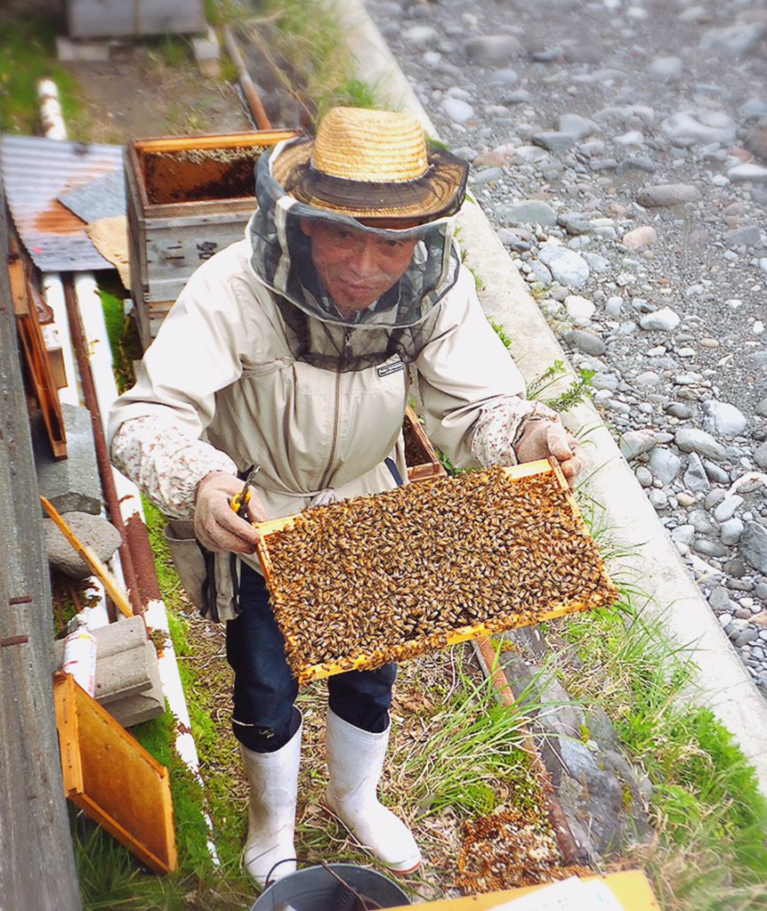 蜂蜜採取