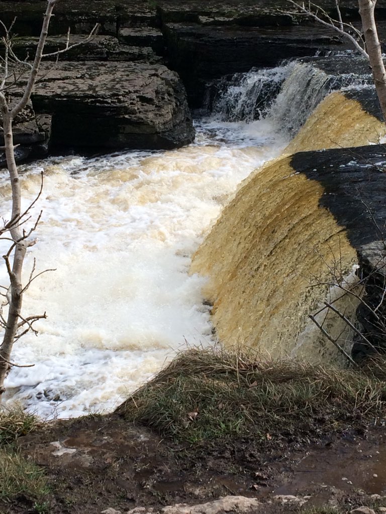 kazlm's tweet photo. Lovely day out in the dales #YorkshireDales https://t.co/sIizCKCal6