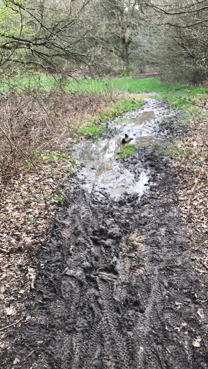 picklepoo's tweet photo. Has it been raining? The forest was a state! #eppingforestmtb https://t.co/Oz9nC6Fy5C
