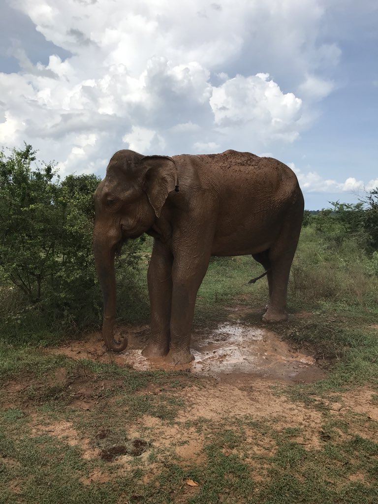 The Wife-Life Balance tweet media