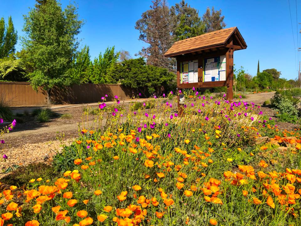 It's Saturday! Hit the Modesto Farmers Market, the Modesto Garden Club tour, the Oakdale Rodeo (parade happening now), Science on the screen or local baseball with the nuts.  Check our amazing event calendar  modestoview.com <a href="/ModestoNuts/">Modesto Nuts</a>  <a href="/OakdaleRodeo/">Oakdale Rodeo</a>  <a href="/StateTheatreCA/">The State Theatre</a>