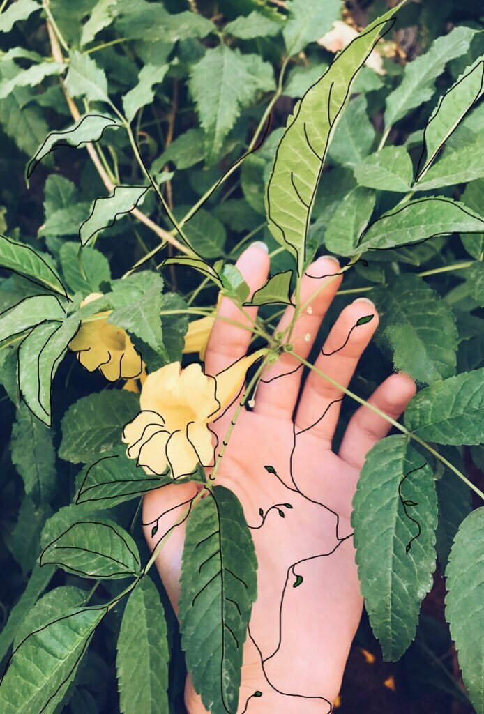 وكأنّك وردًا غزا عروقي 🌼