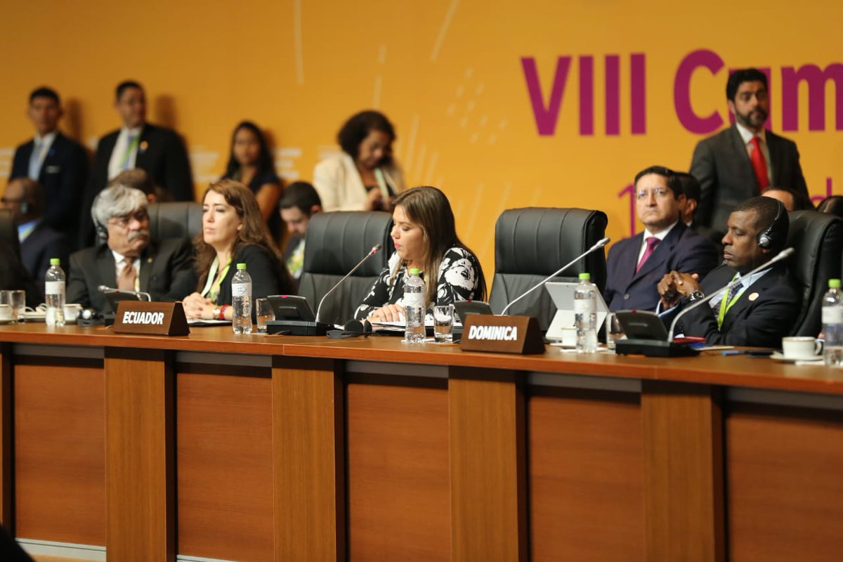 Vice_Ec's tweet image. 1/2 “Queridos Presidentes y Vicepresidentes de las Américas, #EcuadorEstáDeLuto; el Presidente @Lenin Moreno, a pesar del gran dolor que vive nuestro país”, @marialevicuna  #CumbrePerú