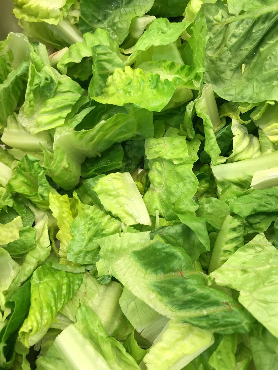 Outbreak Alert: 35 people sick in 11 states with E.coli infections linked to chopped romaine lettuce. Don’t eat any store-bought chopped romaine, including salad mixes with romaine, in your fridge. Throw it away. go.usa.gov/xQbwT