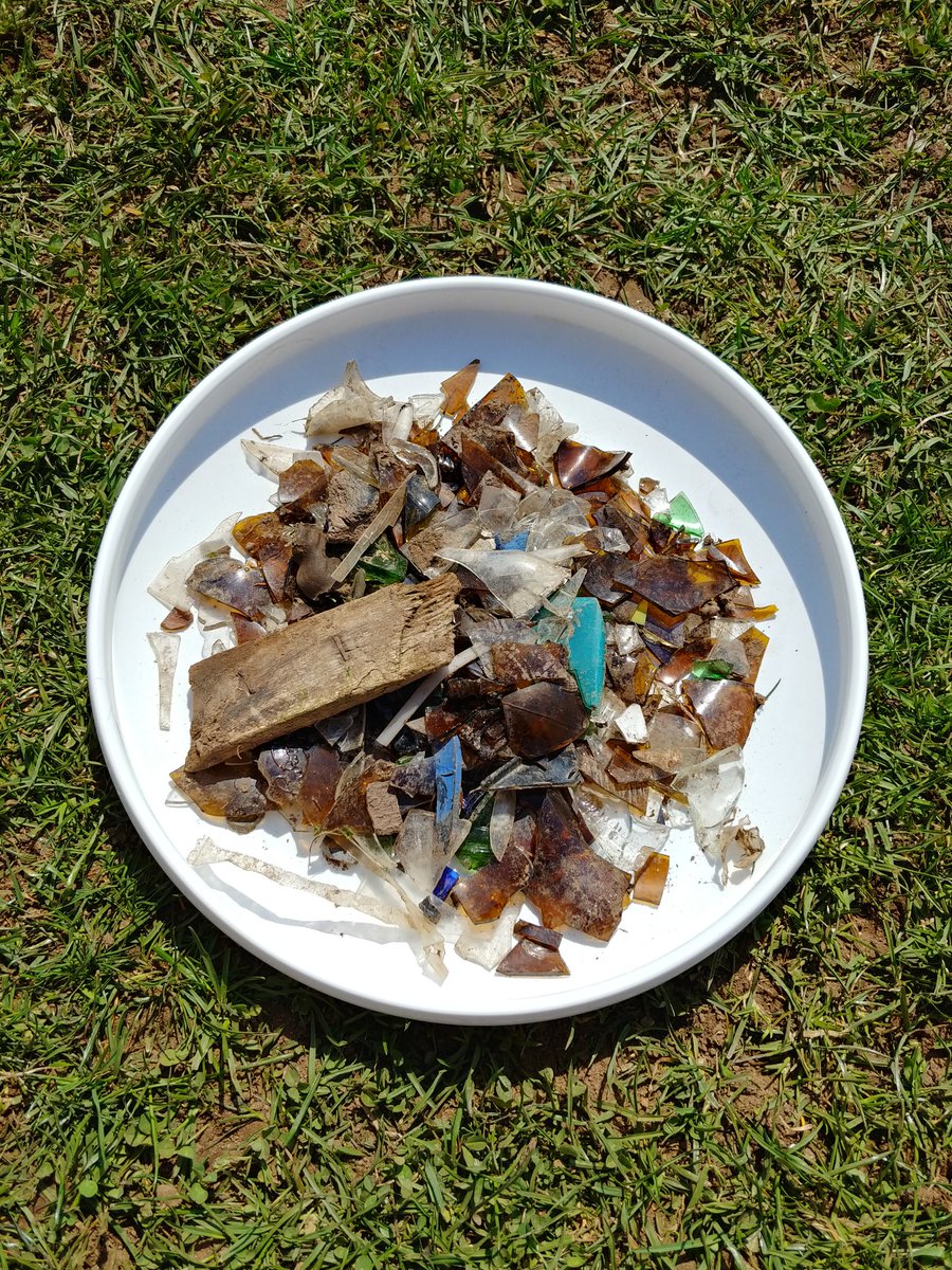 After combing the field between games these are the conditions we get to play in in the metro east. Didnt even get halfway down the field... <a href="/SinTheFields/">SinTheFields</a> <a href="/Ultiworld/">Ultiworld</a> <a href="/USAUltimate/">USA Ultimate</a> <a href="/USAU_MECollege/">USAU_MECollege</a>