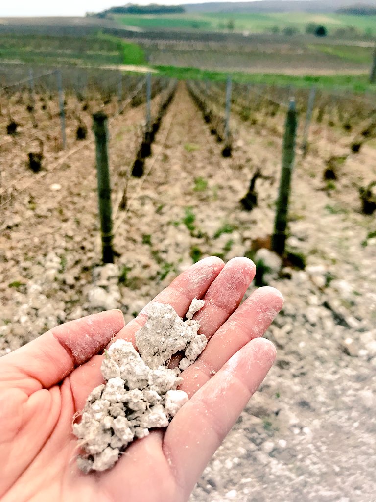 Chalk and clay soils at #ulyssecollin. Lovely visit today to one of my favorite #champagne houses!