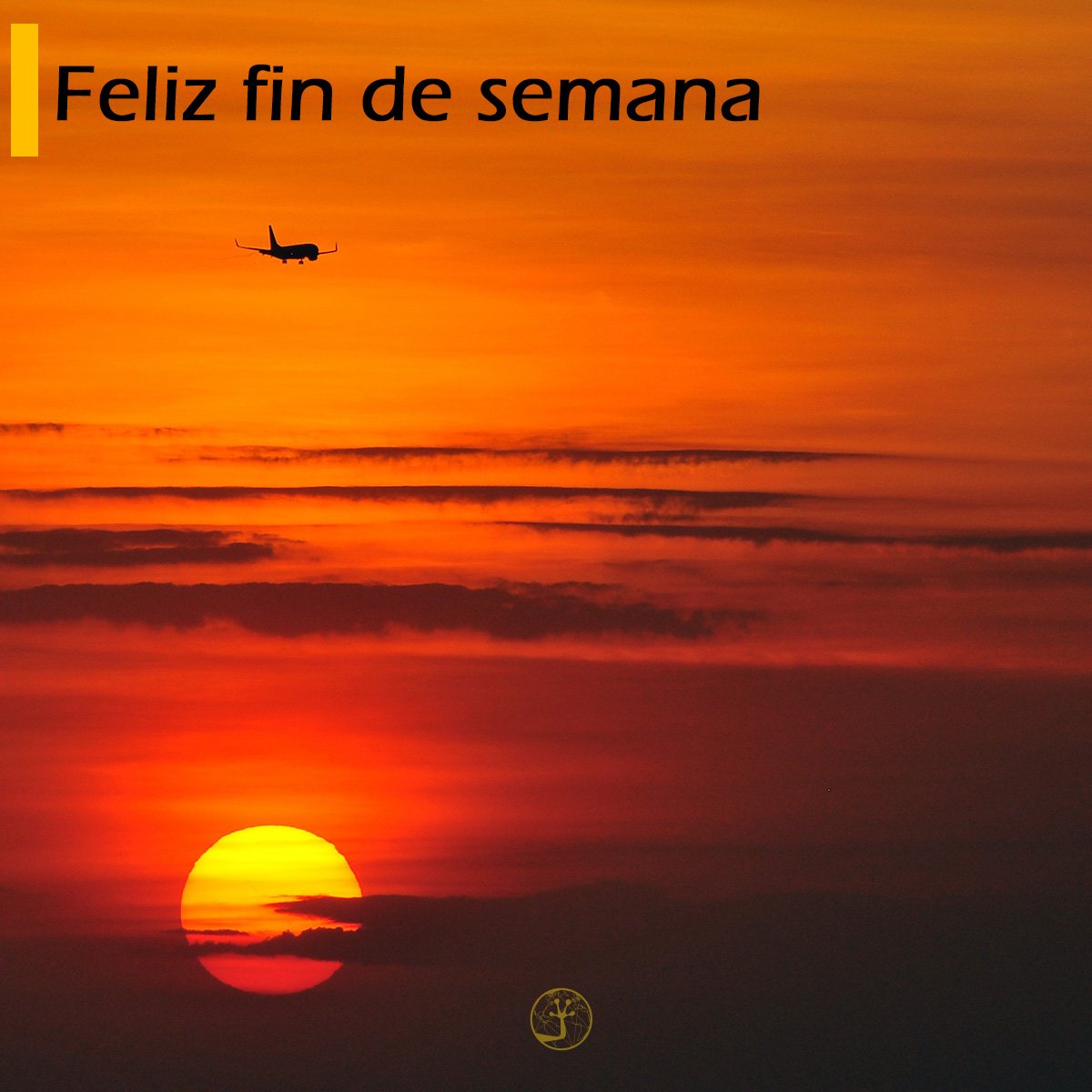 goldenfrogtech's tweet photo. Quisimos compartir esta preciosa imagen. 
Feliz fin de semana para todos…

#Panamá #Emprendedores https://t.co/vNZ8Ld97fx