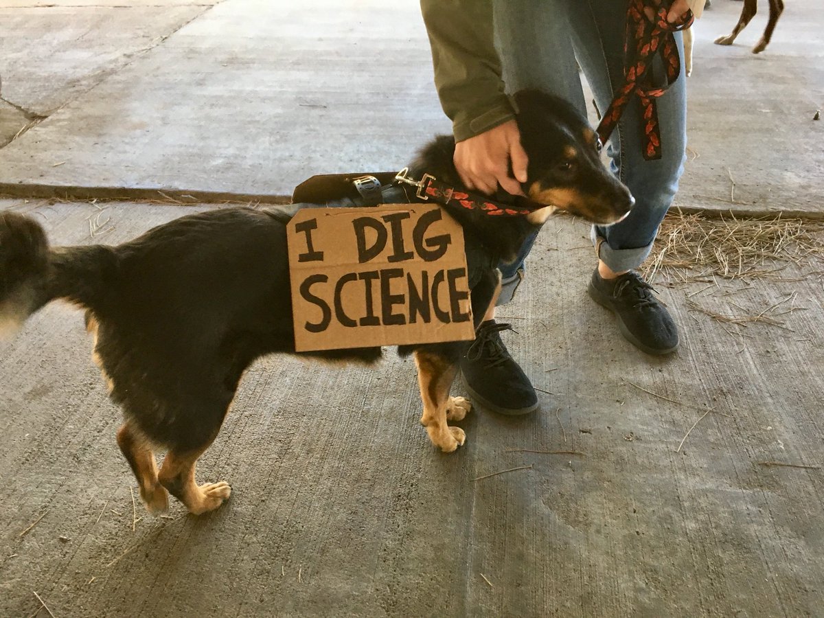ScienceMarchFLG's tweet photo. #flagstaff...We came, we marched, we 😍 #science!  #ScienceMarchFLG #marchforscience  @ScienceMarchDC @LowellObs @babbittranches @GrandCanynTrust @NAU https://t.co/kMF4IONgrf