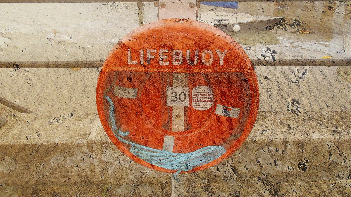 Timothy OGorman tweet media