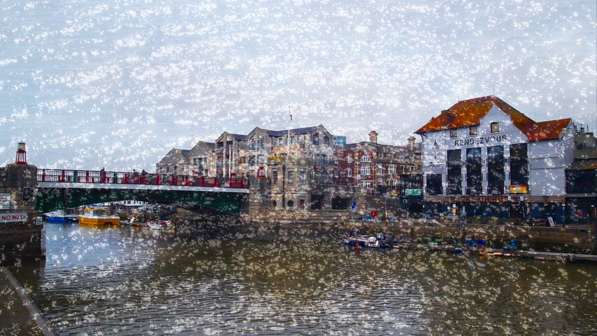 Timothy OGorman tweet media