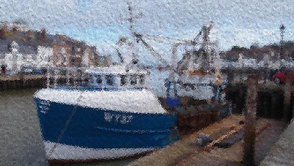 Timothy OGorman tweet media