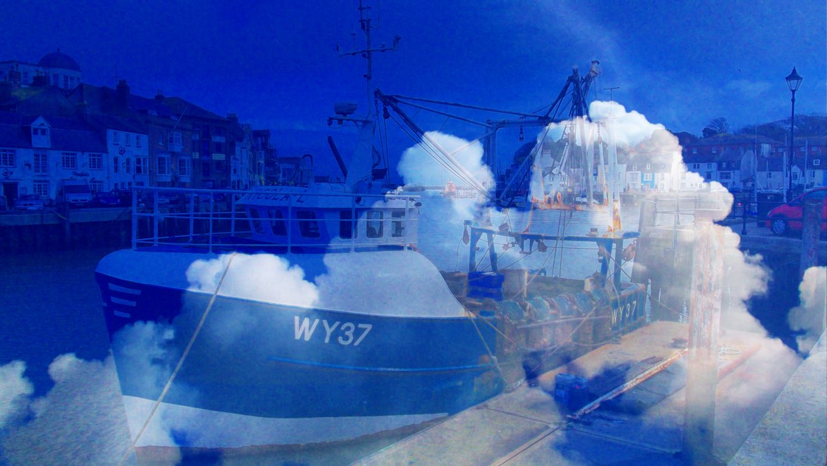 Timothy OGorman tweet media