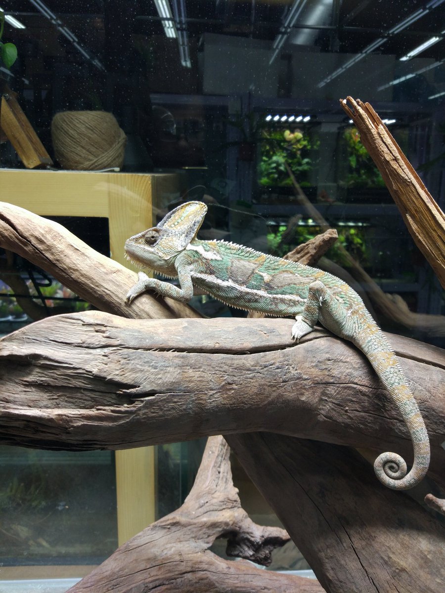 以有色观无色，处处皆有色