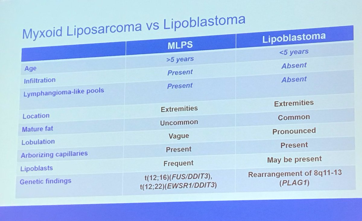AlawamiSarah's tweet photo. Great lecture by Dr. Folpe about Adipocyte Tumors #HSCP2018 https://t.co/x4jCcUjpIg