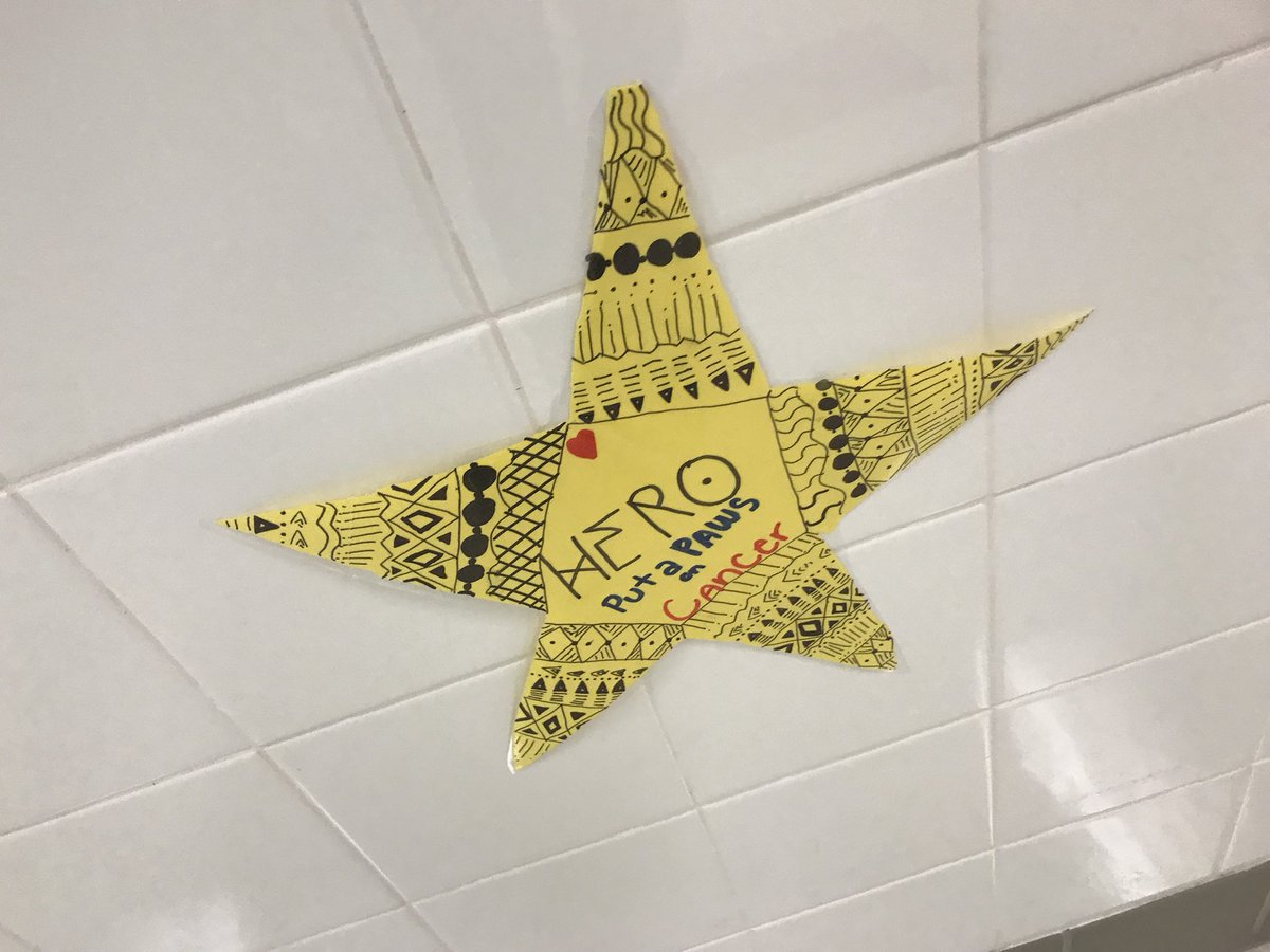 TMSMiniTHON's tweet photo. https://t.co/B4SXxOiQI9