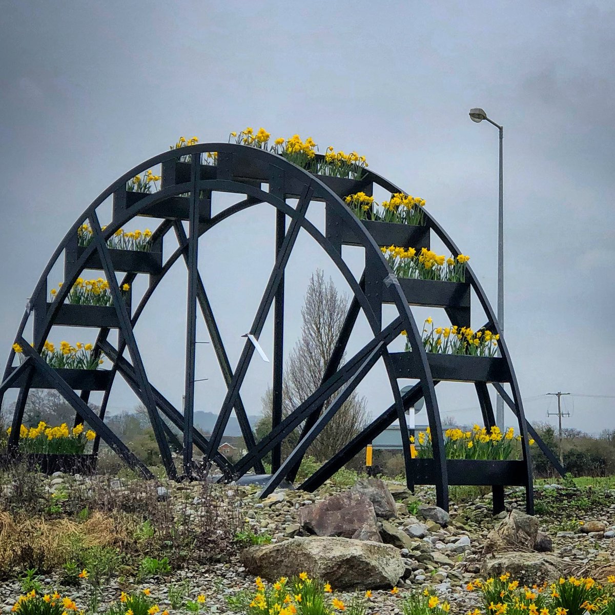 Stuff_by_Craig's tweet photo. This is actually in the middle of a roundabout near Celbridge. #veryspring https://t.co/bBqd1M9Nmj