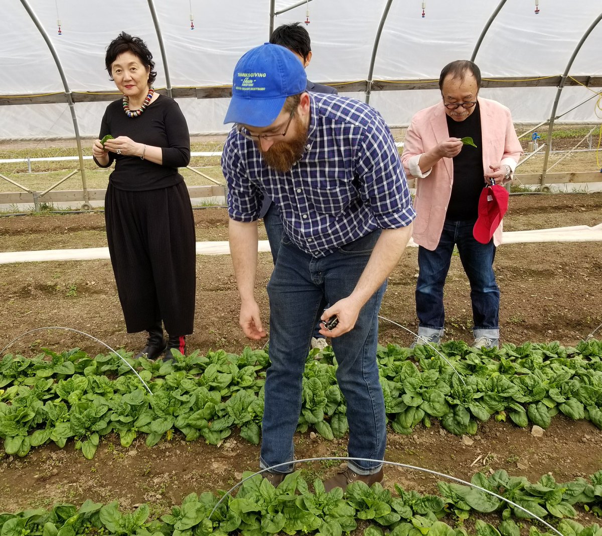 Kboss00's tweet photo. The Center for Discovery @TCFDiscovery treats people w complex disabilities in an environment of sustainable agriculture, respect and hard work. We get the benefit of culinary delights at the DaVinci Series @chefcasella #DNAtcfd https://t.co/aNA1yCsvsI