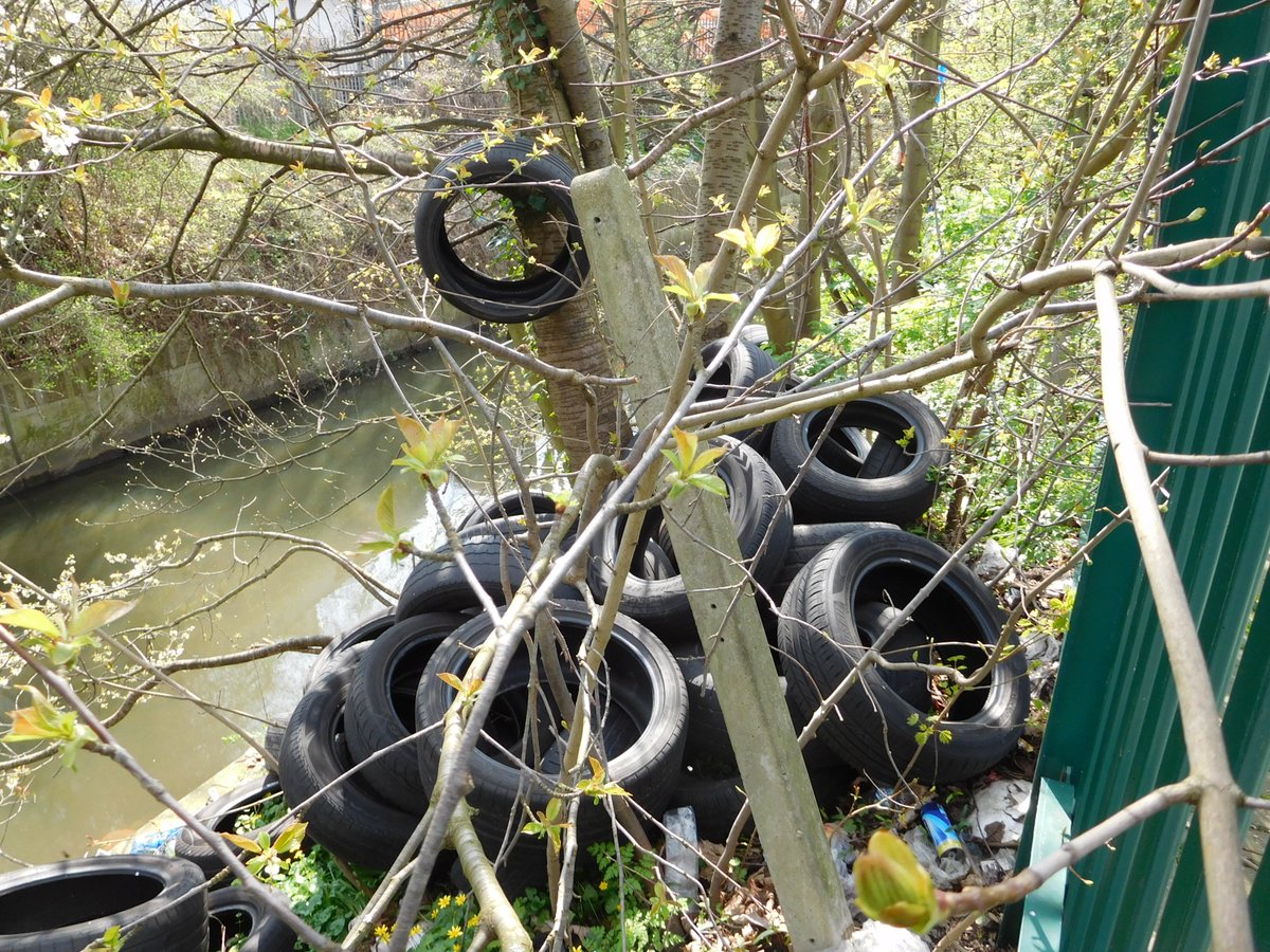 pralford54's tweet photo. ...these are all from Queensbury Road HA0 @Brent_Council ...... it's simply a disgrace....
.... the kids on the play ground are surrounded by Giant Hogweed and the litter is just left to pile up along with car tyres - all in a 100m stretch of river https://t.co/axx3tWizcK