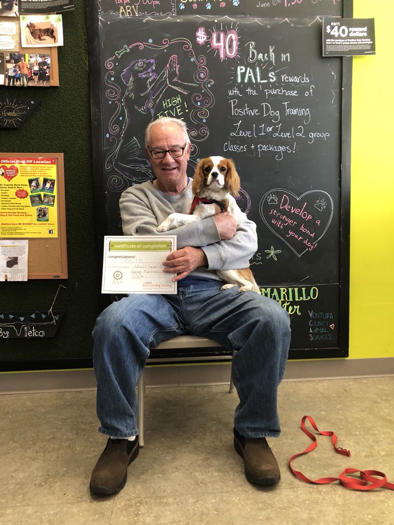 KimmyKirsch's tweet photo. Seth Cohen graduated puppy school everyone https://t.co/VIr9ZxXETd
