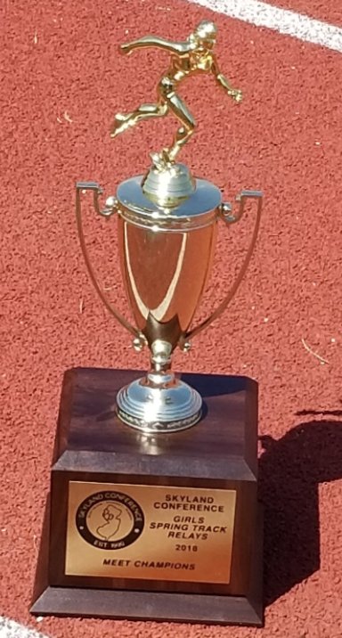 Congrats Girls Track and Field - Division Champions today at the Skyland Conference Relay Championships!