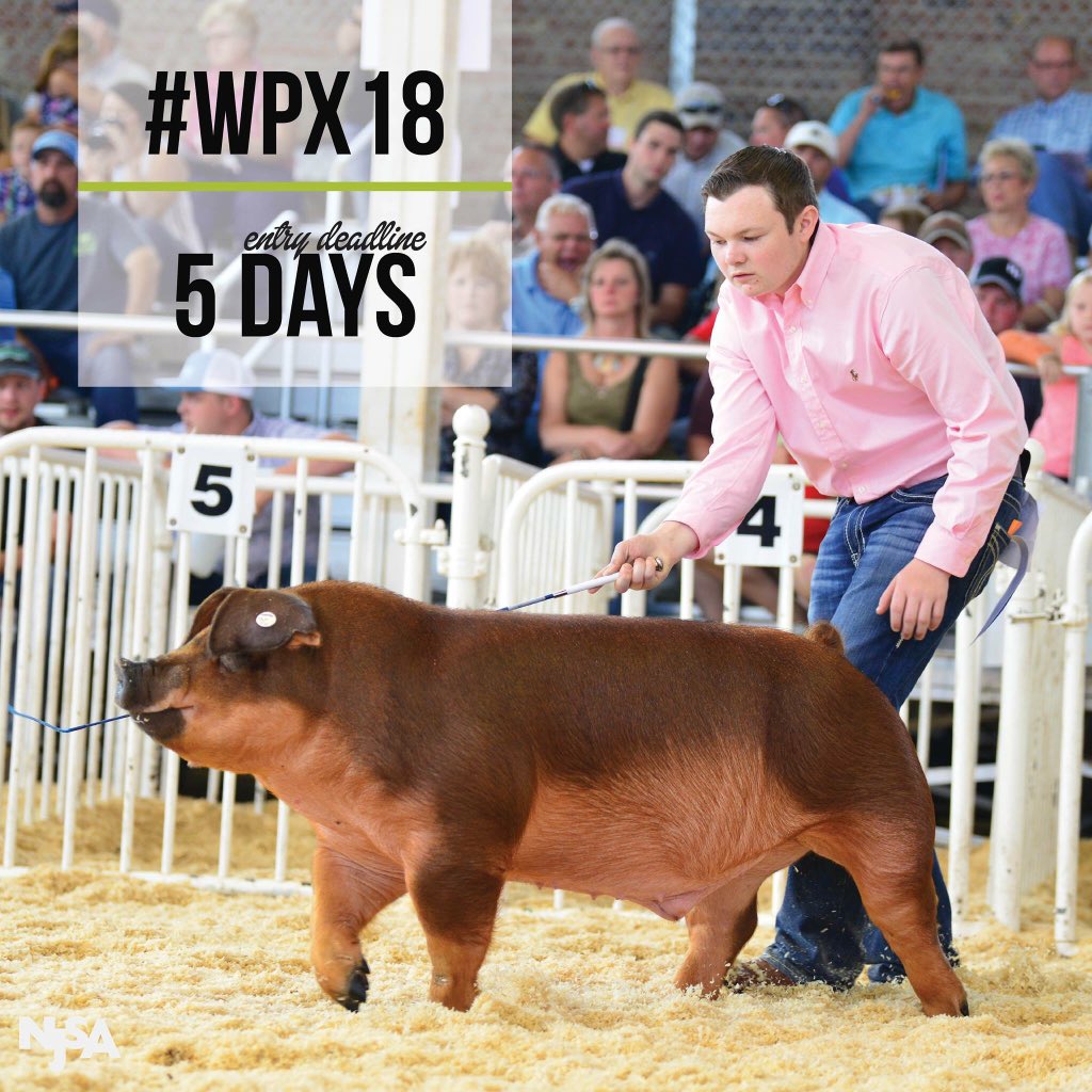 NationalSwine's tweet photo. The clock is ticking! Just five days left to get your 2018 World Pork Expo entries in! For more #WPX18 information and to enter online, visit https://t.co/uYXKRXasis. https://t.co/tCRPJlM9Kw