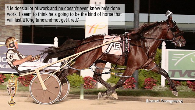 trotinsider's tweet photo. Counting down the top contenders to Canadian #harnessracing's richest prize, the 2018 Pepsi North America Cup. Here's #4 in the Trot #NACup Spring Book https://t.co/TuSU4lHJD3 https://t.co/2cTDbMiBdo