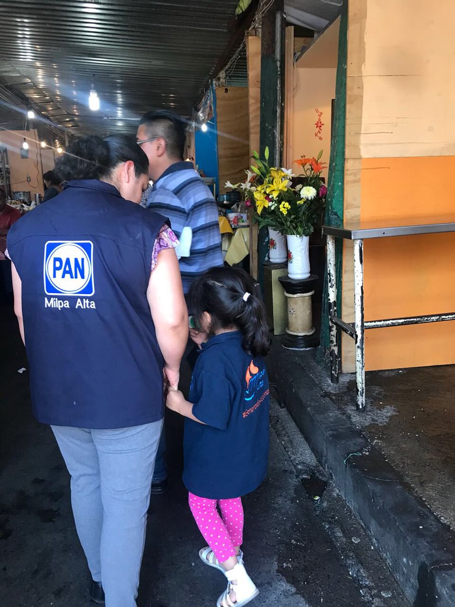 AJMilpaAlta's tweet photo. Los jóvenes y los niños estamos seguros de que @RicardoAnayaC será nuestro próximo Presidente de México, y el día de hoy salimos a las calles a dar a conocer sus propuestas.
¡Juntos hasta la victoria! 🇲🇽
#DeFrenteAlFuturo
#AnayaPresidente
#GenerandoAcciones https://t.co/IEwvI4A4M9