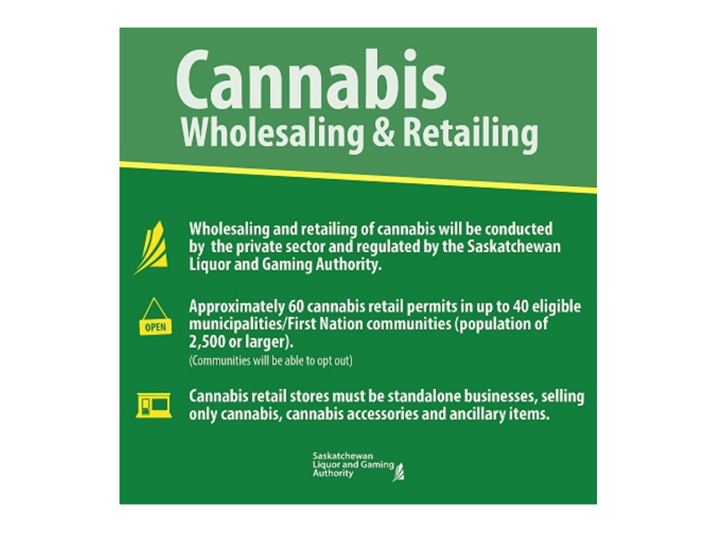 One City Councilor Opposes Cannabis Buffer Zones dlvr.it/QPY0sL https://t.co/LhPRbURDmM