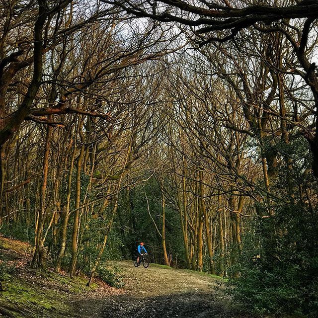 Joolzephoto's tweet photo. Not seen these colours in the landscape for a while... #doseofsunshine #atlast #trailsstillmuddy #mountainbiking #happytobeout #warm #offroad #eveninglight https://t.co/8GQpuO1BdE https://t.co/VxL2Ck1UTK