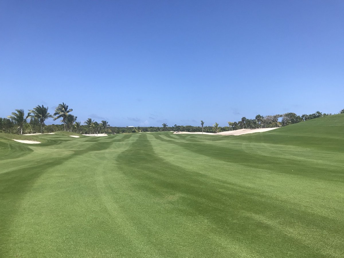 DimaseMatt's tweet photo. 84 degrees and barely a cloud in the sky! #itsbetterinthebahamas #gcsaa #paspalum #letsplay9 https://t.co/qzeLNyeXih